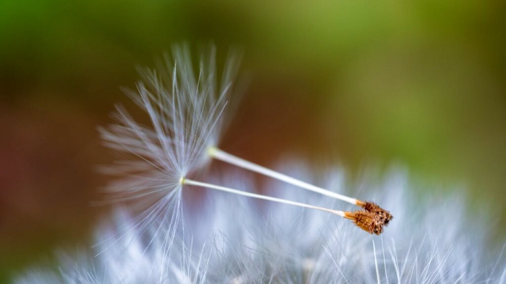 La réalité de l'hypersensibilité en voyage avec Les Conseils Voyages d'Ely